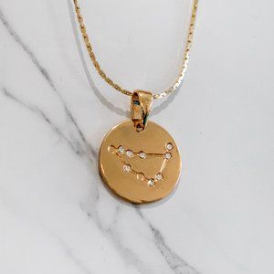 Capricon zodiac astrology sign necklace pendant